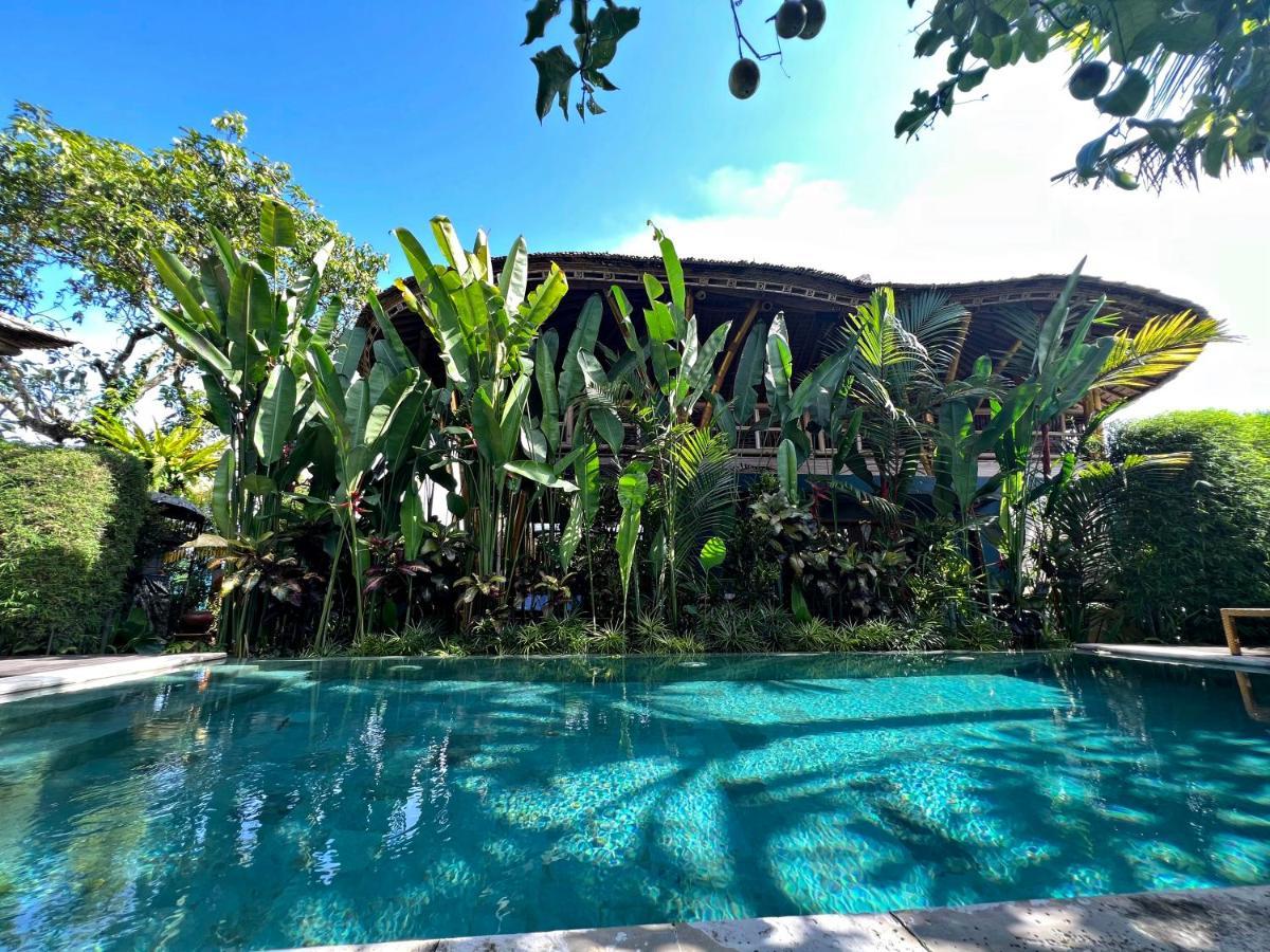 Joyously Raw Villas - Free Room Upgrade Subject To Availability Ubud Esterno foto
